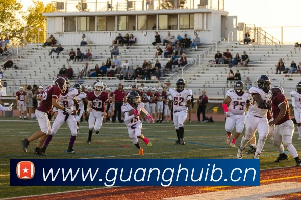 App Interface Preview